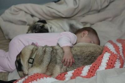 �ѥ����֤����07