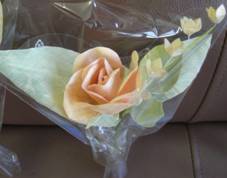 image008