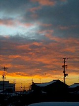 5c09950b.jpg