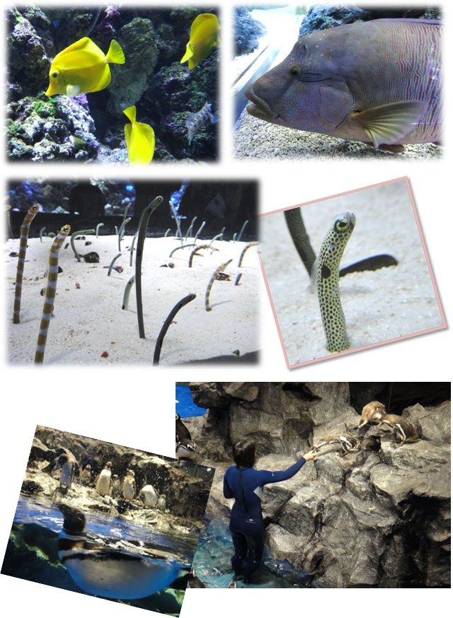 1水族館