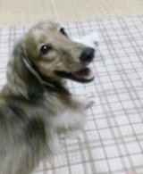 9ac7d77d.jpg