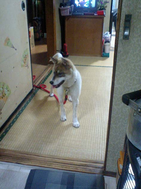 いえの中1