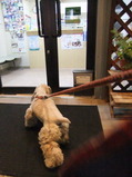 動物病院玄関にて