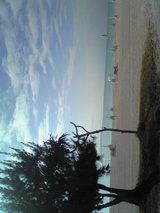 c3e958e9.jpg