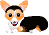 corgi-icon-trybh