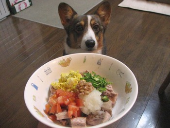 カラフルまぐろご飯