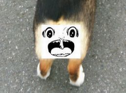 まことちゃんなのだ!
