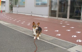 思わず入ってしまう?笑