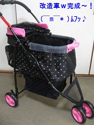x-L-IMG_0701
