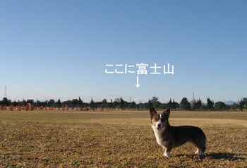 L-IMG_6566a