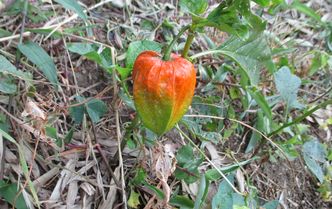 s-IMG_0280