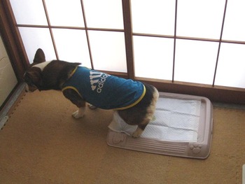 真ん中ですれば〜?(^▽^;)