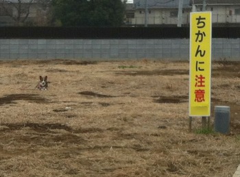 あらやだ、怖いわぁ