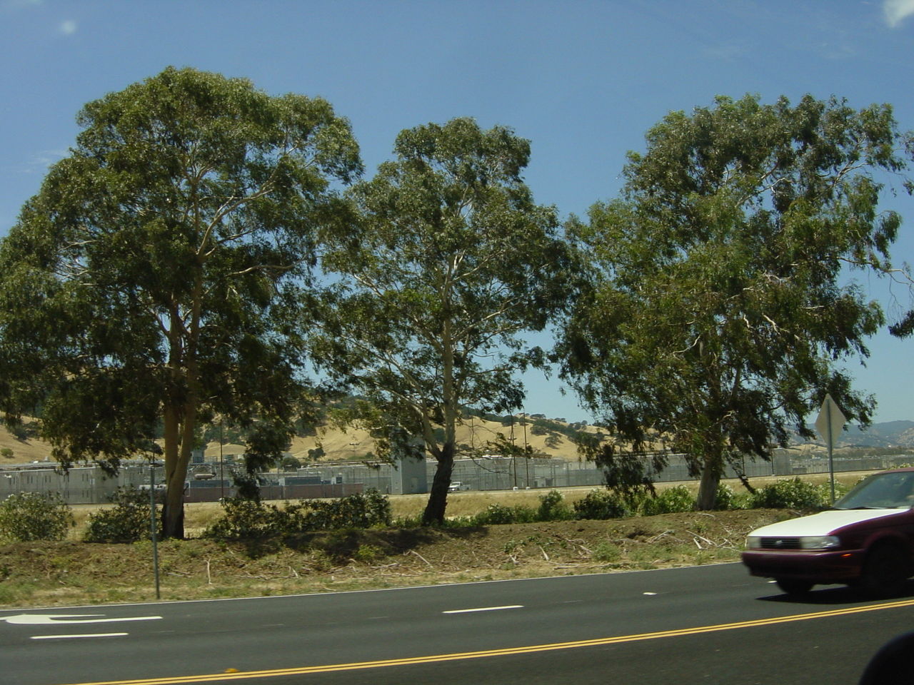 DSC00024