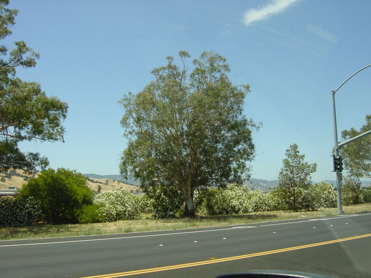 DSC00027