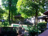 CIMG2113_1