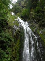 CIMG2283_1