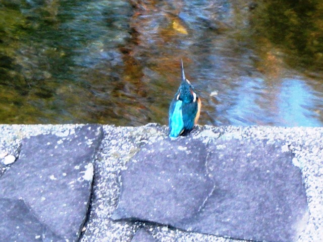 ¥«¥ï¥»¥ß£²