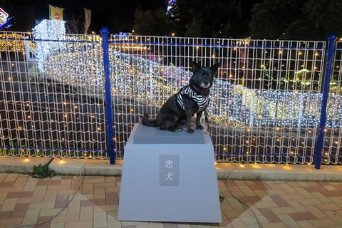 16_IMG_2323_500_20190316