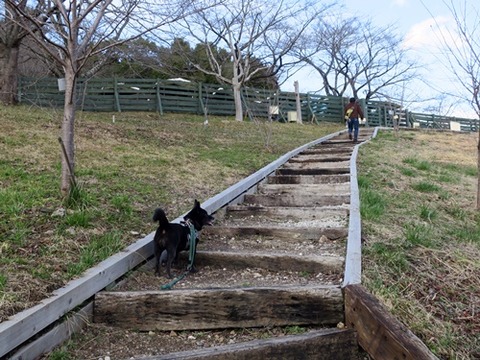 04_IMG_2214_500_20190316