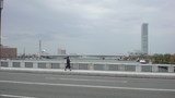 万代橋から柳都大橋と朱鷺メッセ