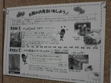新聞