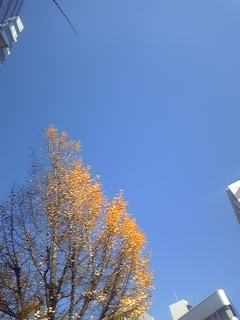 406f4305.jpg