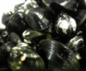 52eddc75.jpg