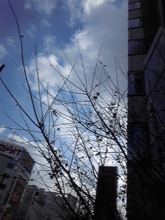 c2301ef0.jpg