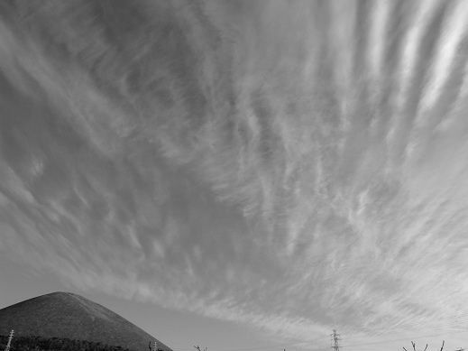 1201130216