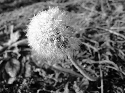 1201130206