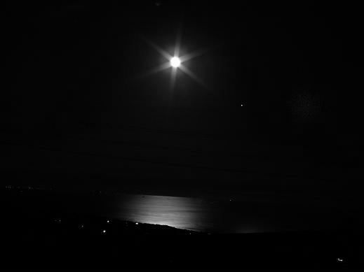 DSCF0271