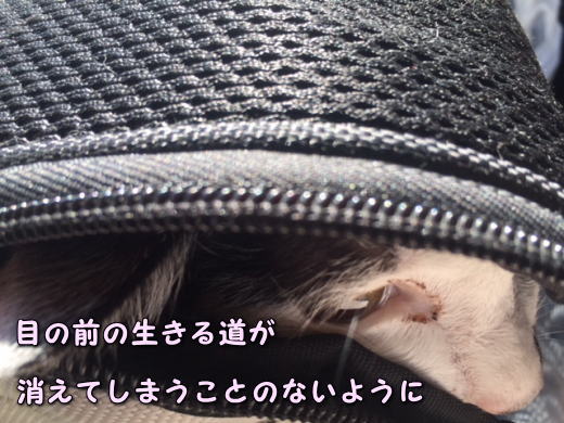 zzzz14