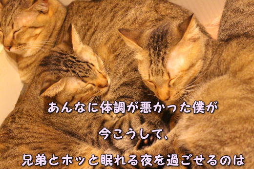 zzz21
