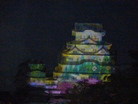 P5050446