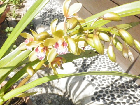 P5020423