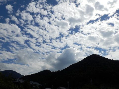 P9260909