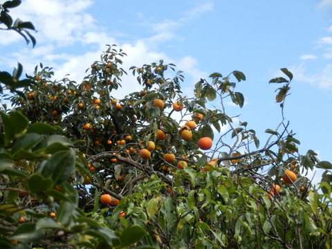 P9260908