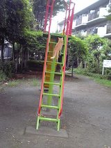 50f5b49f.jpg