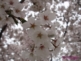 0804171