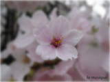 080424