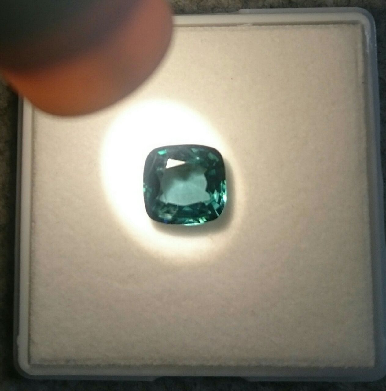 919cb556.JPG