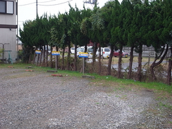 resize0919