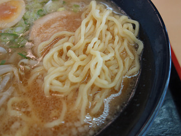 resize12646
