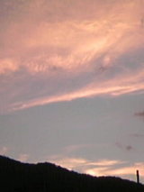 e3b1d887.JPG