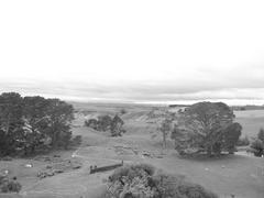 HOBBITON MOVIE SET