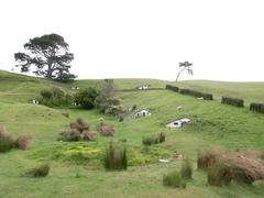 MATAMATA