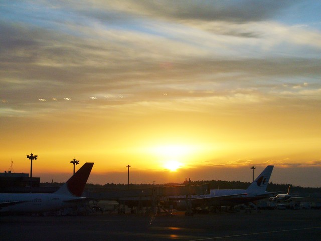 P1000394