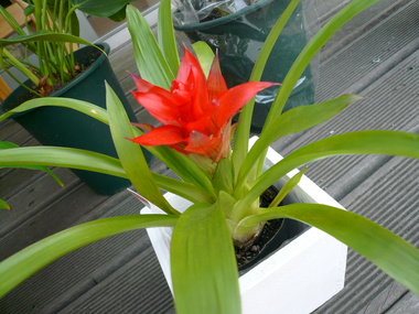 P1050367