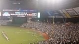 d2027328.jpg